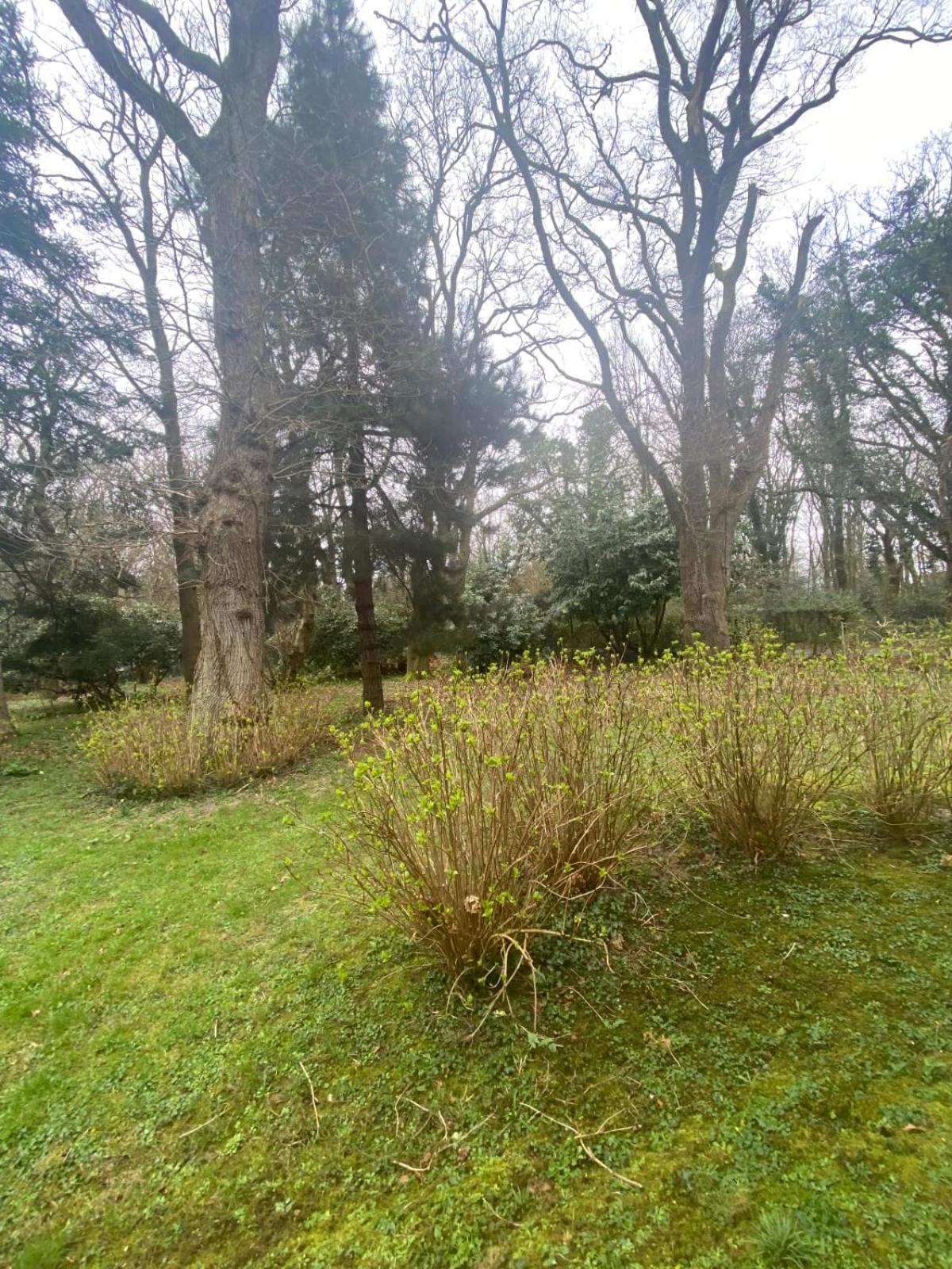 Bg32 - Mer & Bois De Cise Maison Individuelle Avec Grand Jardin Ault Buitenkant foto